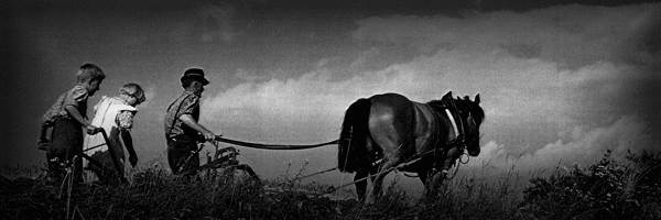 zaveza_header04.jpg