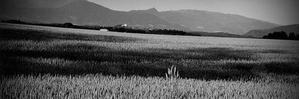 zaveza_header05.jpg
