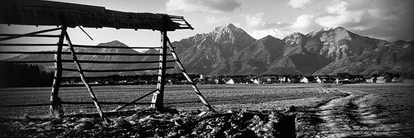zaveza_header06.jpg